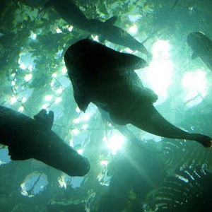 Meet your Posher, Kate